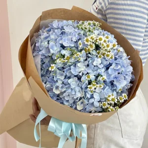 Hoa Cẩm Tú Cầu