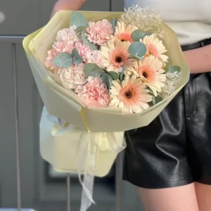 Hoa Đồng Tiền
